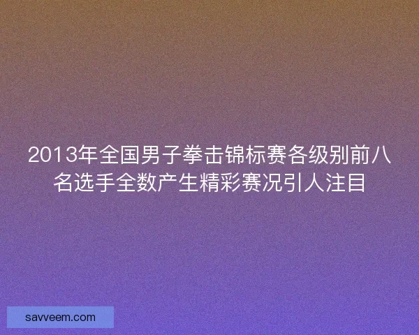 2013年全国男子拳击锦标赛各级别前八名选手全数产生精彩赛况引人注目